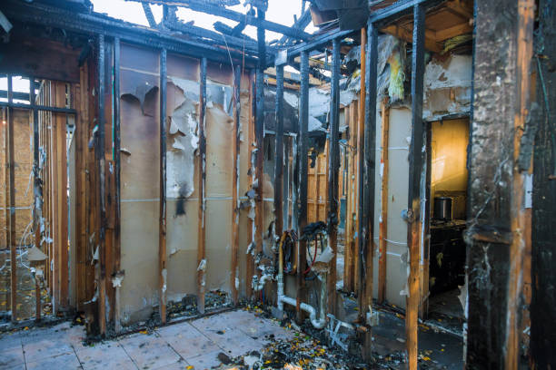 Professional Fire Damage Repair technician working in Selbyville, DE